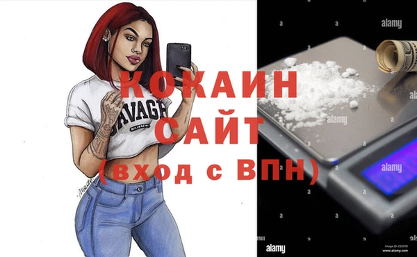 бошки Белокуриха