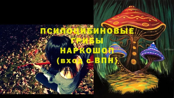 бошки Белокуриха